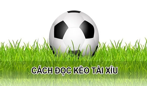 Hướng Dẫn Các Cách Đọc Kèo Bóng Đá Chi Tiết Từ A Đến Z