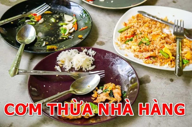 Lợi Ích Khi Cho Gà Ăn Cơm Thừa – Cách Cho Gà Ăn Hiệu Quả