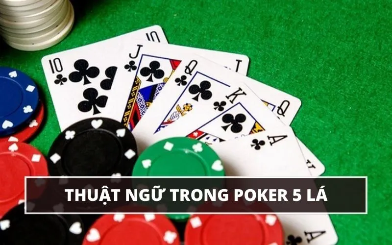 Poker 5 Lá Là Gì? Mẹo Chơi Poker 5 Lá Từ Các Chuyên Gia