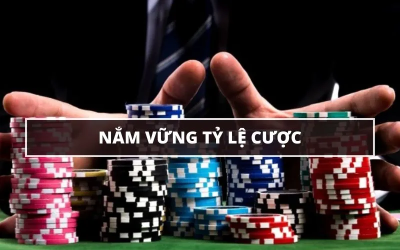 Poker 5 Lá Là Gì? Mẹo Chơi Poker 5 Lá Từ Các Chuyên Gia