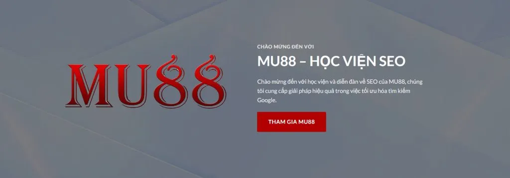 Top Các Loại Từ Khóa Trong SEO Và Cách Sử Dụng Từ Khóa