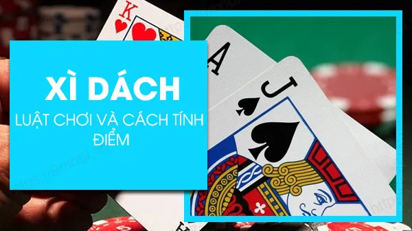 Xì Dách Bao Nhiêu Thì Phải Đền? Quy Tăc Và Cách Tính Điểm